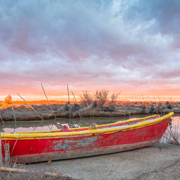 Terre et Mer - Restaurant Saintes-Maries-de-la-Mer - restaurant SAINTES-MARIES-DE-LA-MER